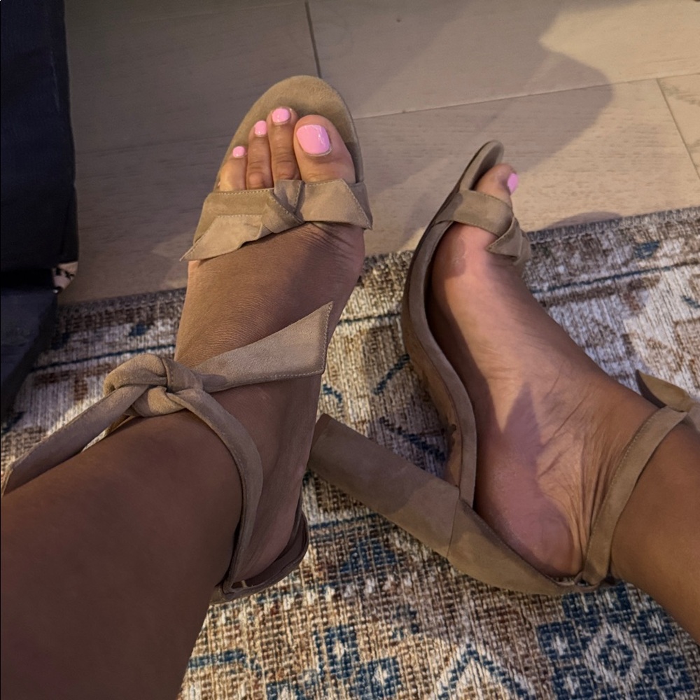Alexandre Birman Taupe Suede Ankle-Tie Sandals